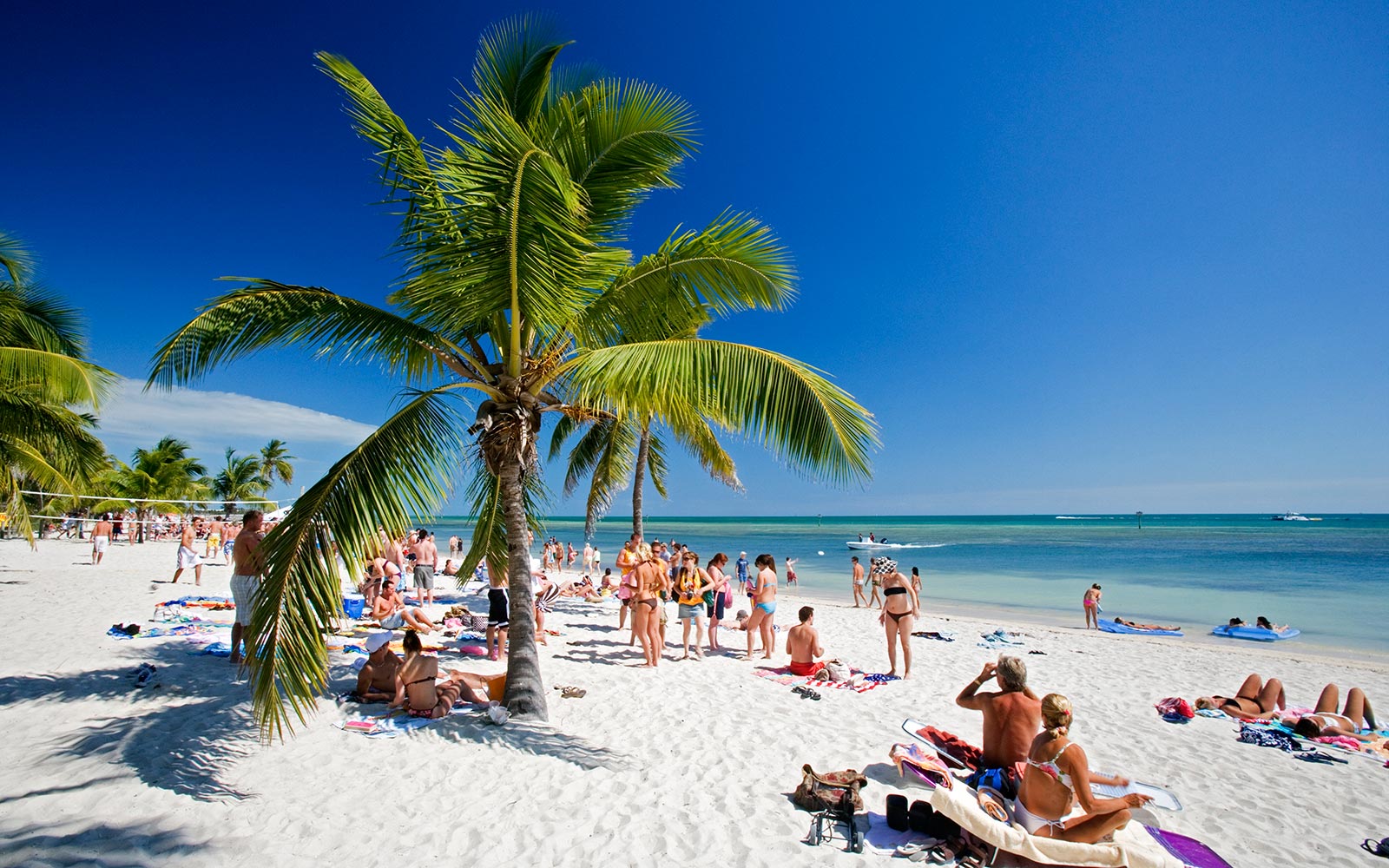 Spring is in the Air 2024 Rent Key West Vacations