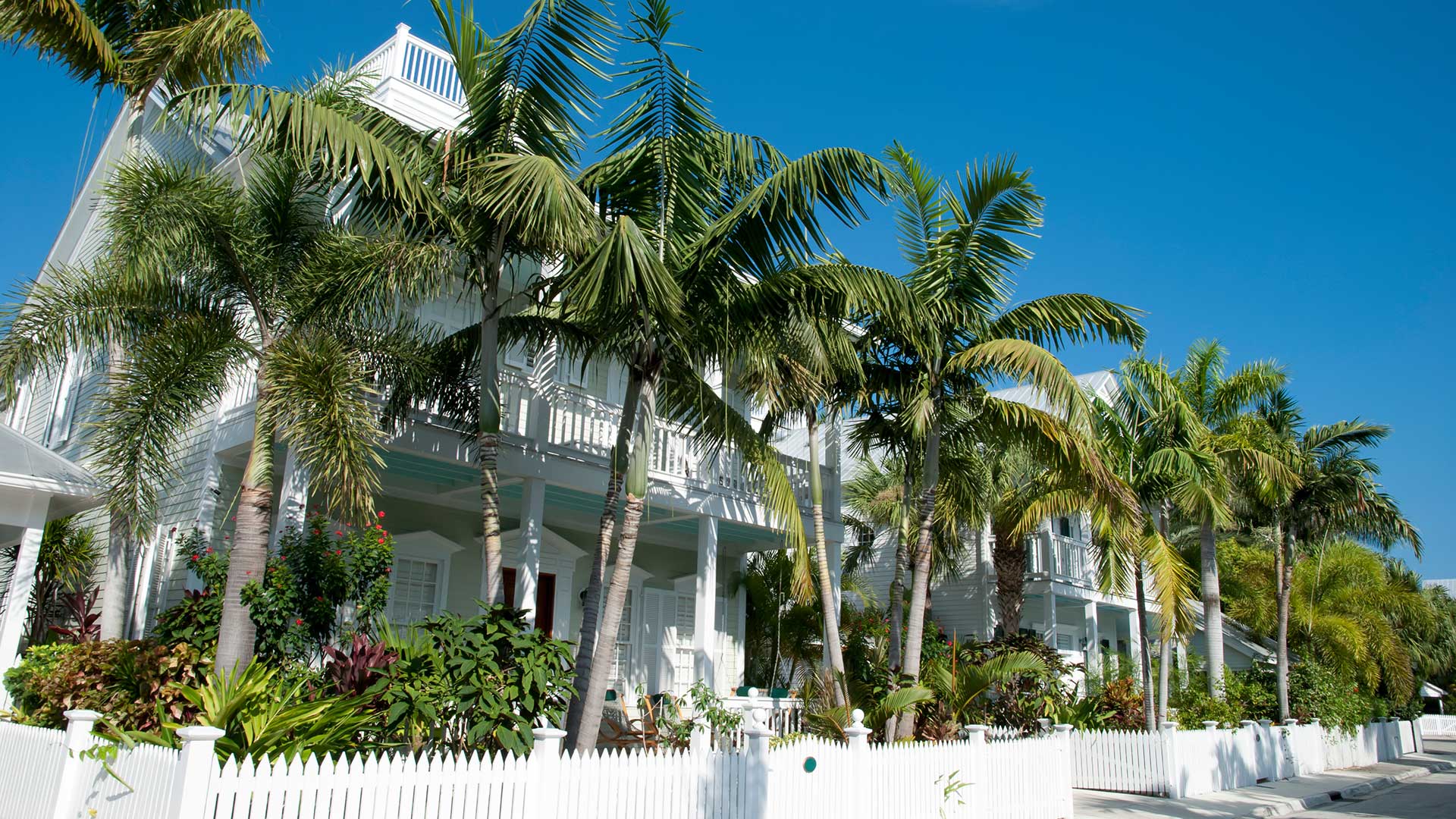 Discover the Best Key West Rentals Rent Key West